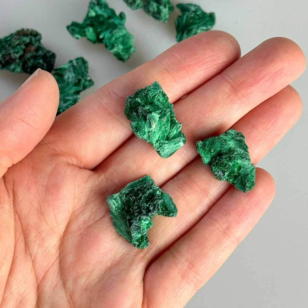 Foto originale di tre esemplari di malachite fibrosa sul palmo