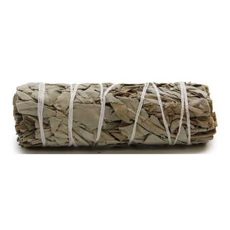 Fascio di Salvia Bianca Californiana (White Sage) 28-32g