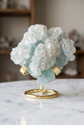 Fluorite con base, ambientazione frontale