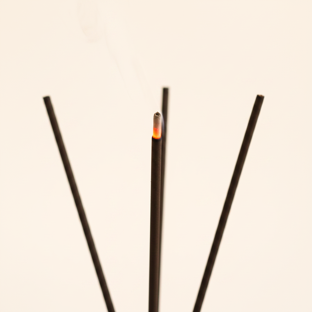 Incensi coco - close-up brace e fumo