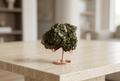 Tormalina con base rosata