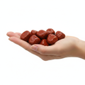 Mano che tiene diaspro rosso tumbled