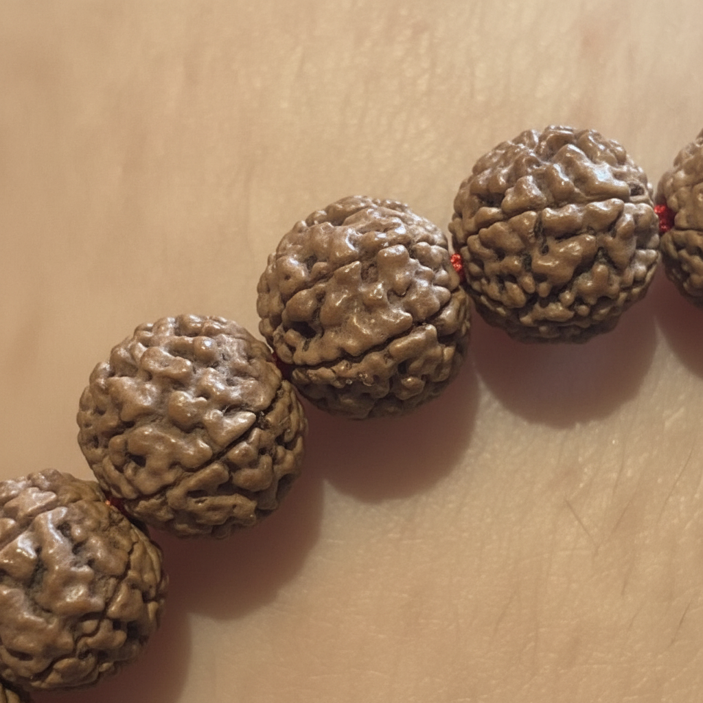 Bracciale rudraksha - macro close-up semi