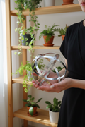 Genesa alluminio 16cm - lifestyle interni con piante