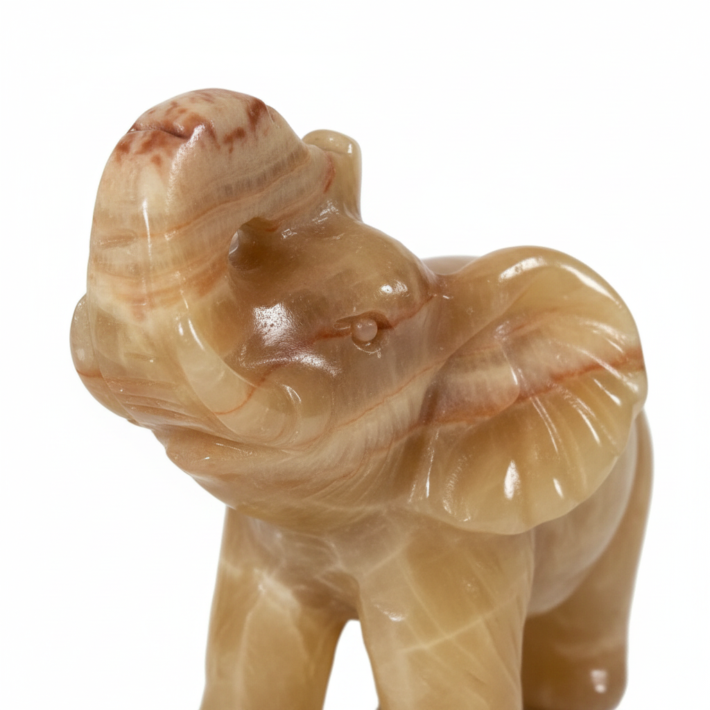 Elefante Calcite Gialla - macro testa