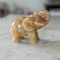 Elefante Calcite Gialla - su marmo