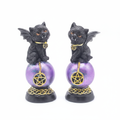 Gatto Wicca sulla sfera con pentacolo su sfondo bianco