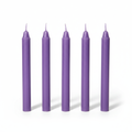 5 candele viola per rituali sfondo bianco