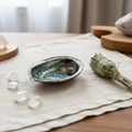 Conchiglia abalone - lifestyle lino salvia cristalli