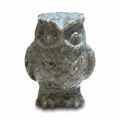 Gufo in Yoperlite sfondo bianco
