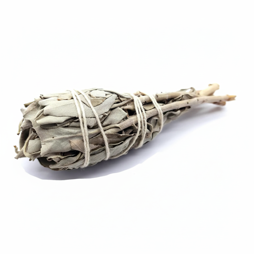 Torcia di Salvia Bianca - sfondo bianco