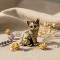 Gattino ottone 2.5cm - fiori e cristalli su lino