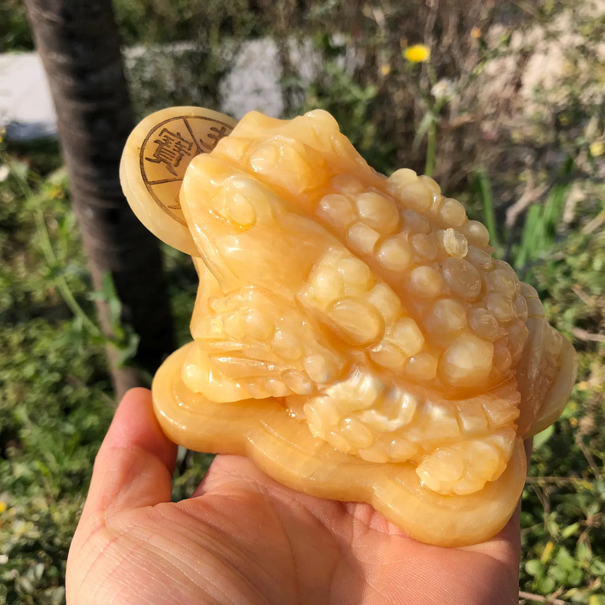 Rana in Calcite Gialla - 600g circa